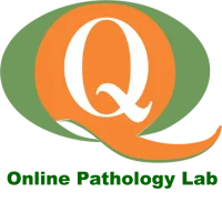 Pathology Lab Patient APP